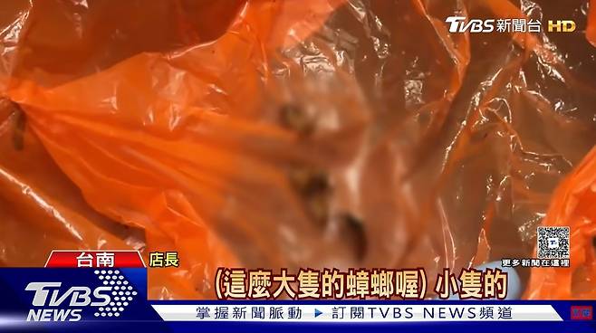 대만 TVBS 갈무리