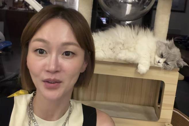 출처:이혜정