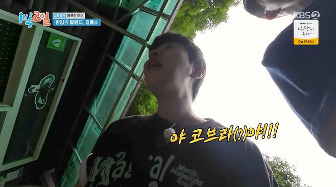 /사진 = KBS '1박2일'