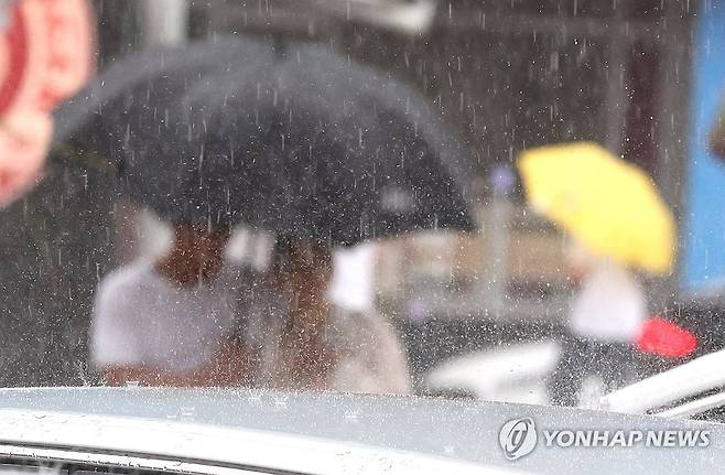 빗속에서도 관광 [연합뉴스 자료사진]