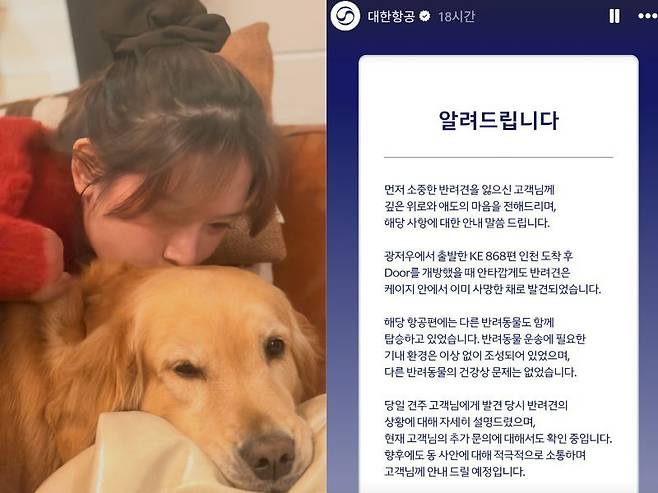 대한항공 화물칸에 실려 운송되던 반려견이 인천공항 도착 직후 숨진 채 발견돼 책임 소재를 둘러싼 논란이 일고 있다. 왼쪽부터 견주 A씨가 생전의 반려견을 끌어안고 있는 모습과 대한항공이 지난 7일 공식 SNS에 올린 입장문. /사진=A씨·대한항공 인스타그램