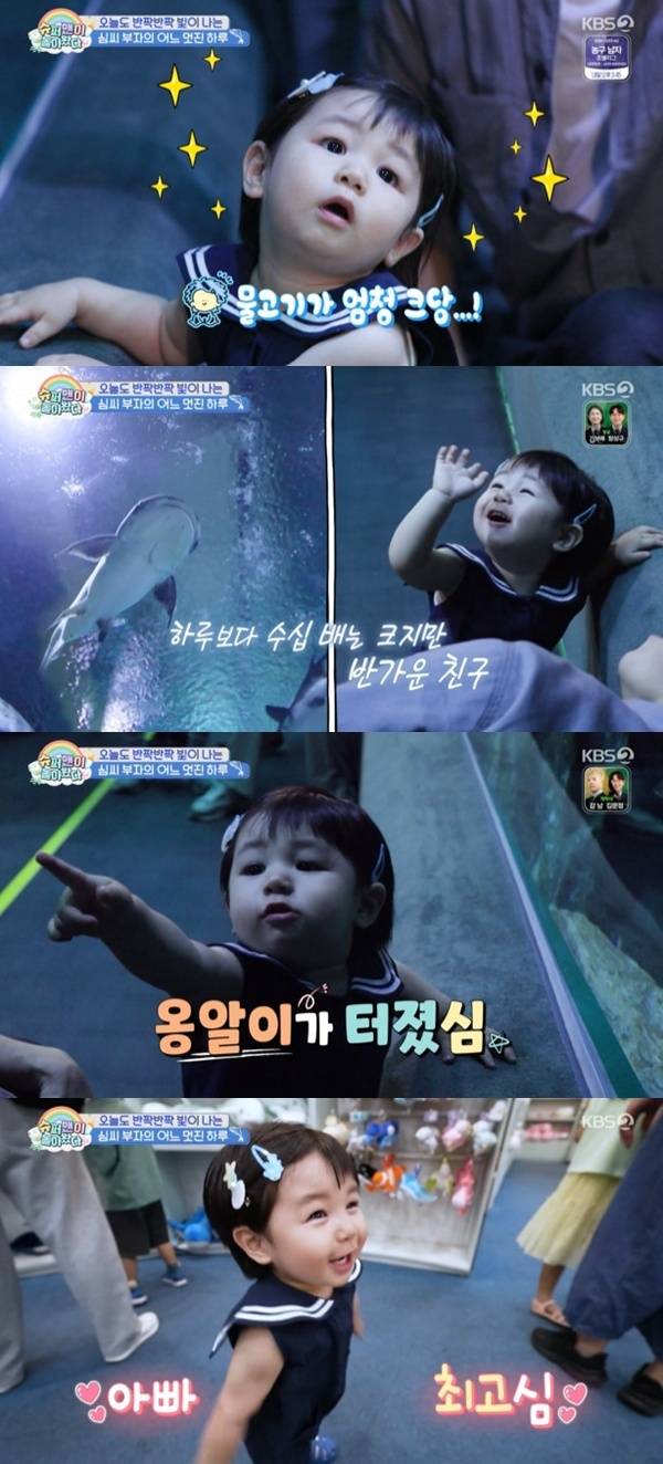 KBS2TV '슈퍼맨이 돌아왔다' 캡처