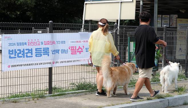 반려견 동물등록 안내 현수막. 간담회에서는 동물등록제의 실효성을 높이기 위해 '갱신제' 도입이 필요하다는 의견이 나왔다. ⓒ 뉴스1
