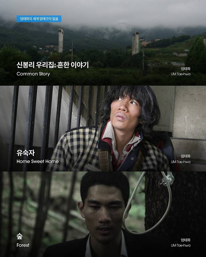 부산국제영화제