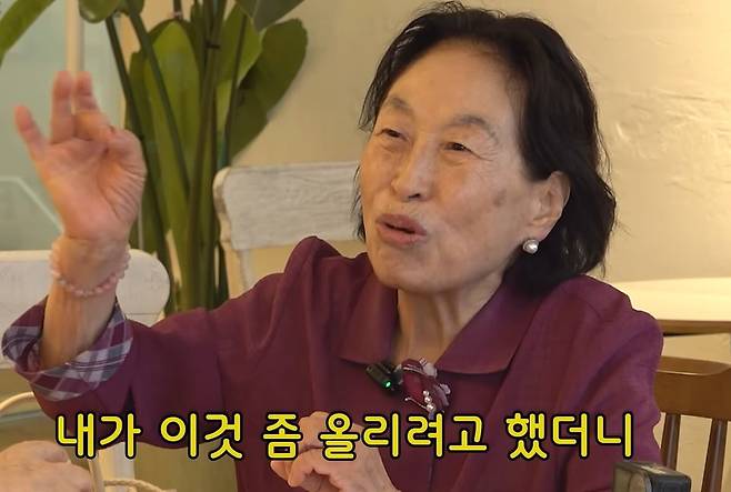 전원주 근황 건강 유튜브
