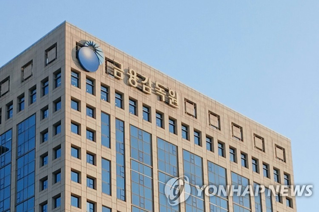 [금융감독원 제공]