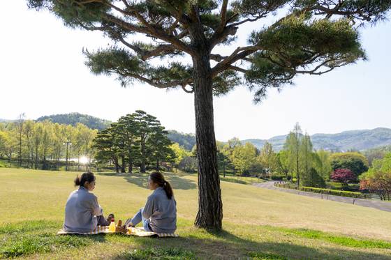 금강 변에 자리한 세종 금강수목원. 너른 잔디광장을 갖추고 있어 돗자리를 펴고 쉬기 좋다. 중앙포토