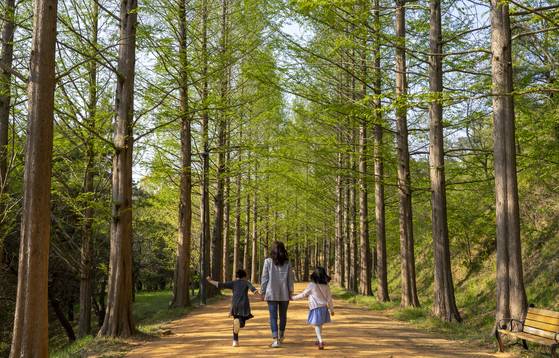 세종시에 위치한 금강수목원 내 황토메타길. 충남도는 민간 매각을 중단하고 주민에게 다시 개방하는 업무협약을 16일 체결했다. 중앙포토