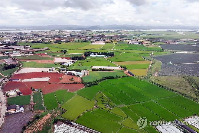 광주 군 공항 이전후보지로 무안군 망운면 확정 (전남광주=연합뉴스) 정다움 기자 = 국방부는 28일 광주 군공항 이전부지 선정위원회를 열어 무안군 망운면 일대를 광주 군공항 이전 후보지로 확정했다고 밝혔다.
    사진은 이날 오전 전남광주 무안군 한 마을회관에서 바라본 무안국제공항과 망운면 일대의 모습. 2026.8.28 daum@yna.co.kr