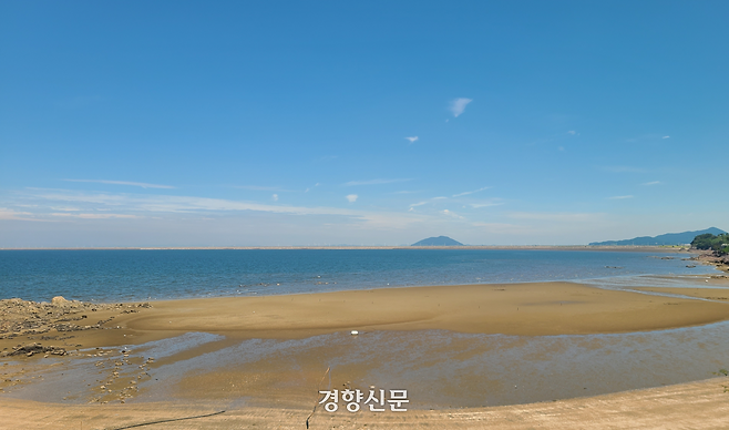 국내 백합 생산을 주도했던 전북 부안군 대항리 갯벌 전경. 1970년대 연평균 2500t을 웃돌던 전북 백합 생산량은 새만금 간척 등 환경 변화로 최근 99% 이상 급감하며 사실상 자취를 감췄다. 김창효 선임기자