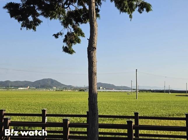 호남권 반도체 국가산업단지 조성 계획이 발표된 광주 군공항 부지 전경./사진=김준희 기자 kjun@