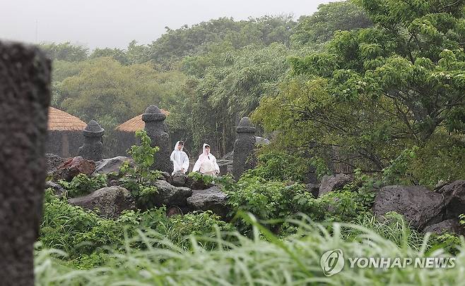 비 내리는 제주 [연합뉴스 자료사진]