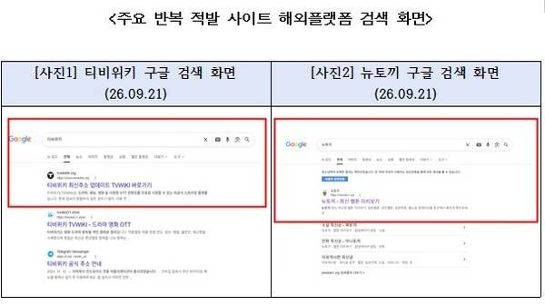 주요 불법 웹툰·영상 사이트인 '티비위키'와 '뉴토끼'가 해외 검색 플랫폼 구글 검색 결과에 노출된 모습. 황정아 의원실 제공