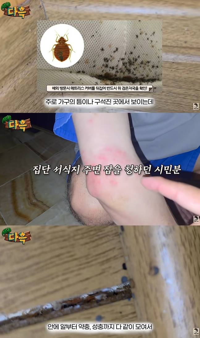 사진 | 유튜브 채널 ‘다흑’