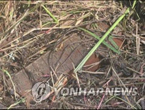 합참, 북한 수지 반보병지뢰 추가 사진 공개 (서울=연합뉴스) 합동참모본부는 29일 실시한 비무장지대(DMZ) 지뢰 폭발 관련 3일차 현장조사에서 발견된 북한의 수지(플라스틱) 반(反)보병지뢰 1발의 추가 사진을 공개했다. 2026.9.29 [합동참모본부 제공. 재판매 및 DB 금지] photo@yna.co.kr