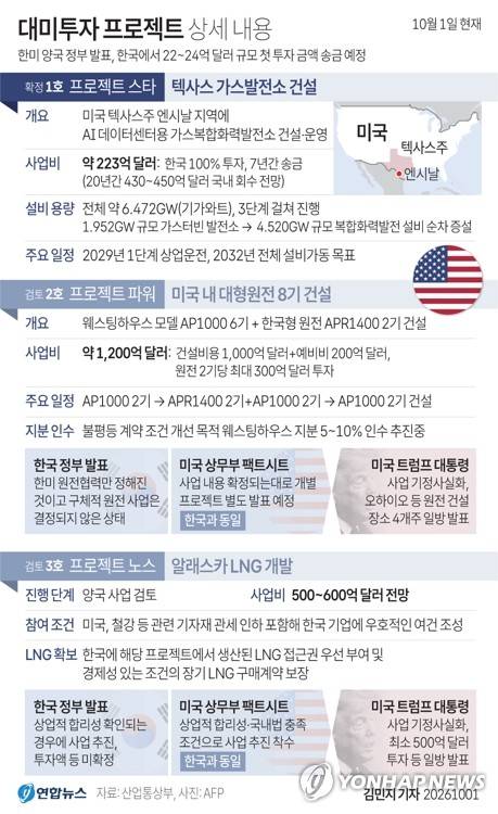 [그래픽] 대미투자 프로젝트 상세 내용(종합)