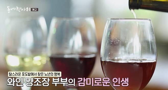 '동네한바퀴'