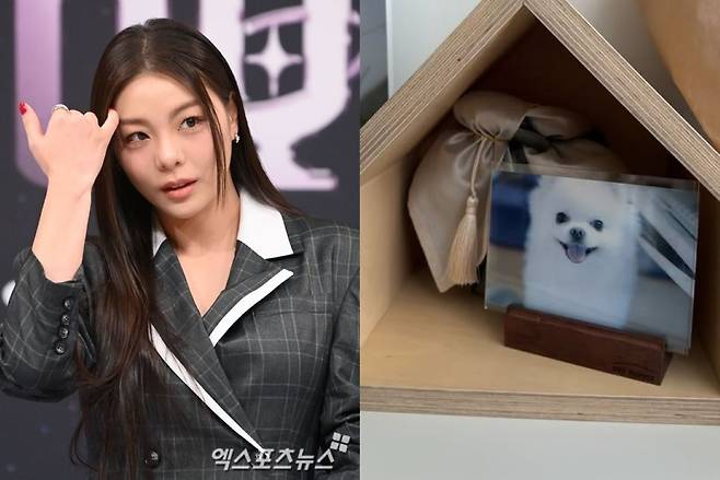 엑스포츠뉴스 DB, 에일리 계정