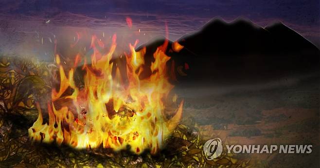 화재 산불(PG) [제작 이태호, 조혜인] 사진합성, 일러스트