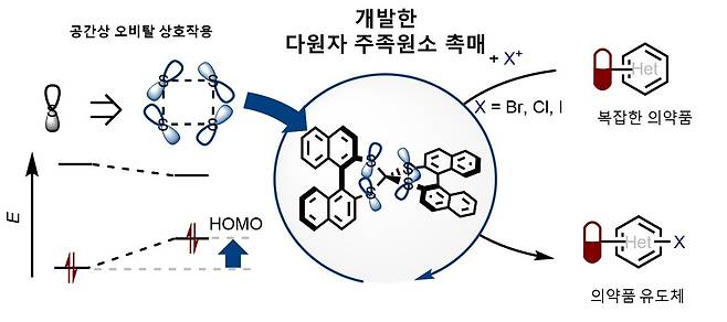 다원자 주족원소 촉매의 작동 원리와 의약품 분자 변환.[서울대학교 제공]