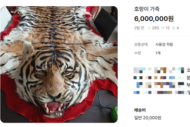 호랑이 박제가 중고거래되고 있다.[번개장터 ‘호랑이 박제’ 판매 페이지 갈무리]