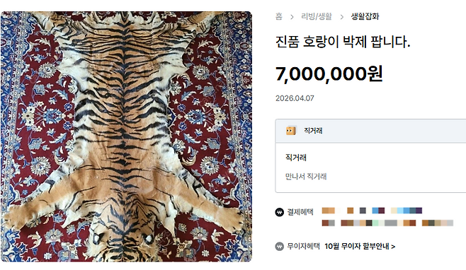 호랑이 박제가 중고거래되고 있다.[중고나라 ‘호랑이 박제’ 판매 페이지 갈무리]