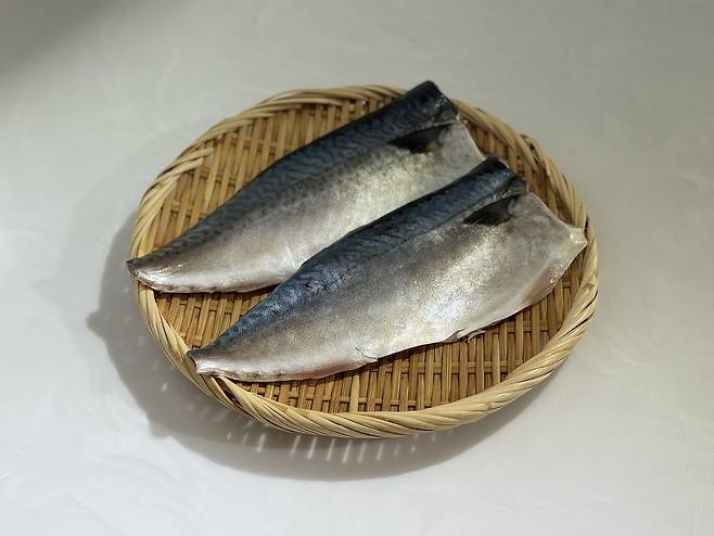고등어는 구이부터 조림, 김치찜까지 다양하게 활용할 수 있는 대표적인 등푸른생선이다. 사진 이정웅