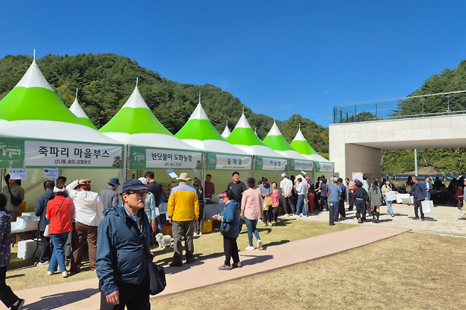 9일 경북 영양군 수비면 죽파리 자작나무숲 일대에서 열린 제5회 수비능이버섯축제 행사장에 관광객들이 몰려 지역 농·특산물 판매장을 둘러보고 있다. 정운홍기자