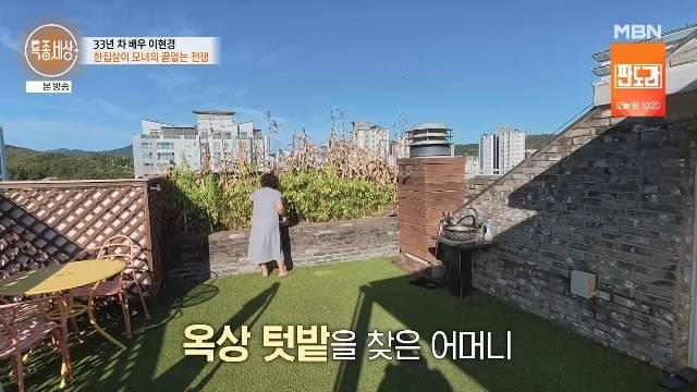 MBN ‘특종세상’ 캡처