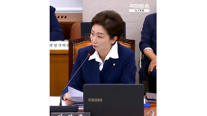 이언주 더불어민주당 의원 [국회방송·의원실 제공]