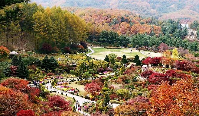 아침고요수목원 전경. 사진=가평군청