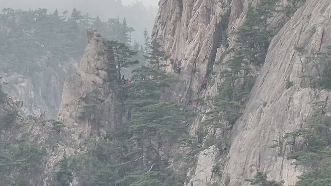 설악산 노적봉 일대에서 다친 탐방객을 찾기 위한 수색 장면 (화면제공 : 설악산국립공원사무소)
