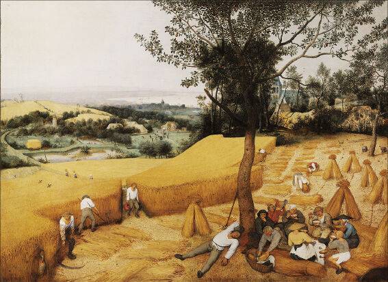 브뤼헐, ‘곡물 수확’(1565), 패널에 유채, 119×162㎝, 메트로폴리탄 미술관, 뉴욕. 위키미디어 커먼즈