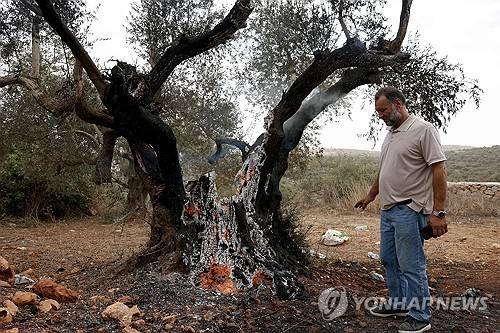 이스라엘 점령지인 요르단강 서안 라말라 북부 투르무스 아이야 마을 인근에서 한 팔레스타인 남성이 불에 타 연기가 피어오르는 올리브 나무 옆에 서 있다. 이 나무와 주변 차량은 이스라엘 정착민들이 불태운 것으로 알려졌다.[AFP 연합뉴스. 재판매 및 DB 금지]