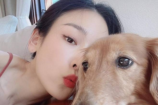 출처:서현진