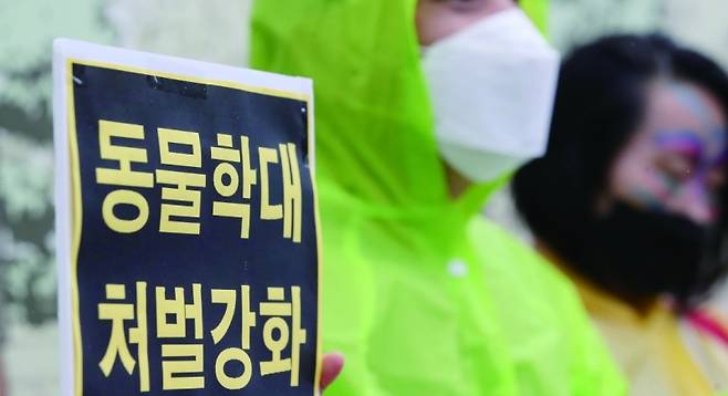 동물보호법 개정안 입법이 지연되는 동안, 수많은 반려동물이 학대 받았다.[사진 | 뉴시스]