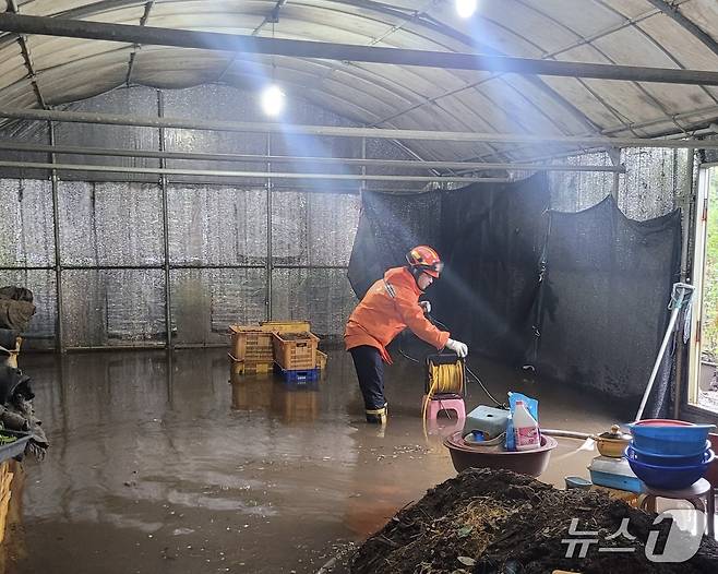 24일 오후 제주시 한 비닐하우스가 빗물에 침수된 모습.(제주도소방안전본부 제공. 재판매 및 DB 금지)