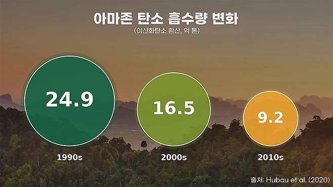 아마존의 탄소 흡수량은 1990년대 24.9억 톤(이산화탄소 환산)에서 2010년대 들어 10억 톤 밑으로 급감한 것으로 추정됐다.