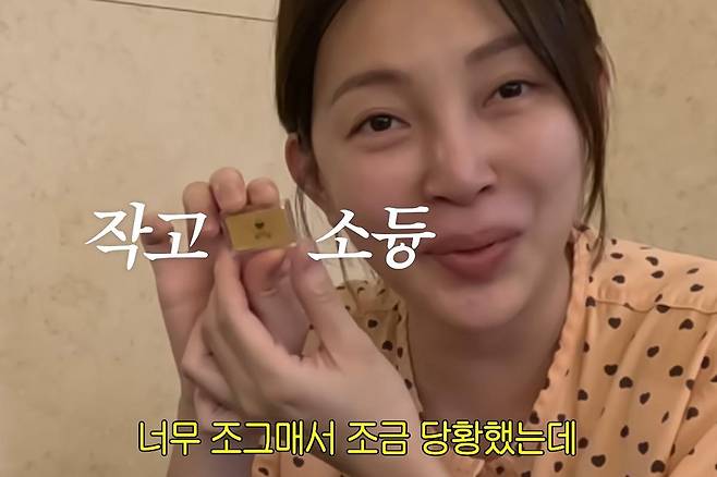 출처:채널 '동현이넷'