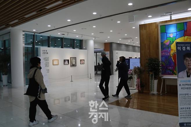 창원한마음병원 1층 로비에 마련된 전시장 '나의 첫 고양이들' 구역 앞을 병원 이용객들이 지나고 있다. 사진=정수연 기자
