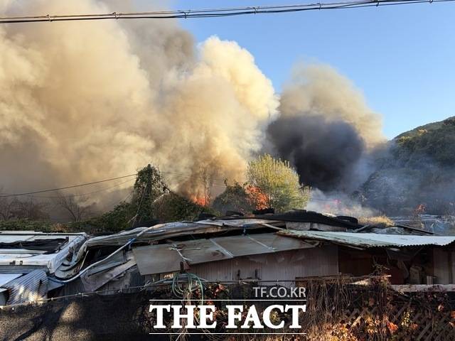 전날 오후 3시49분께 "구룡마을에서 불이 났다"는 신고가 접수됐다. 불은 구룡마을 2지구에서 시작됐으며 바람의 영향으로 1, 3지구로 확대됐고 7지구 일부와 구룡산까지 번졌다. /이예리 기자