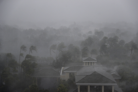 4등급으로 다시 위력이 커진 초강력 허리케인 ‘어마’가 10일(현지시간) 미국 플로리다주에 상륙하면서 네이플스 지역에 강한 바람과 함께 폭우가 쏟아지고 있다. /AP연합뉴스