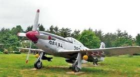 1953년 블랙이글스가 탔던 F-51 무스탕.