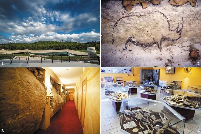 1 지난해 개장한 ‘라스코4’ 건물 전경. 2 루피냐크 동굴벽화에 그려진 코뿔소. 3 호텔 크로마뇽 내부. 4 국립선사박물관에 전시된 뼈 무더기 및 각종 화석.