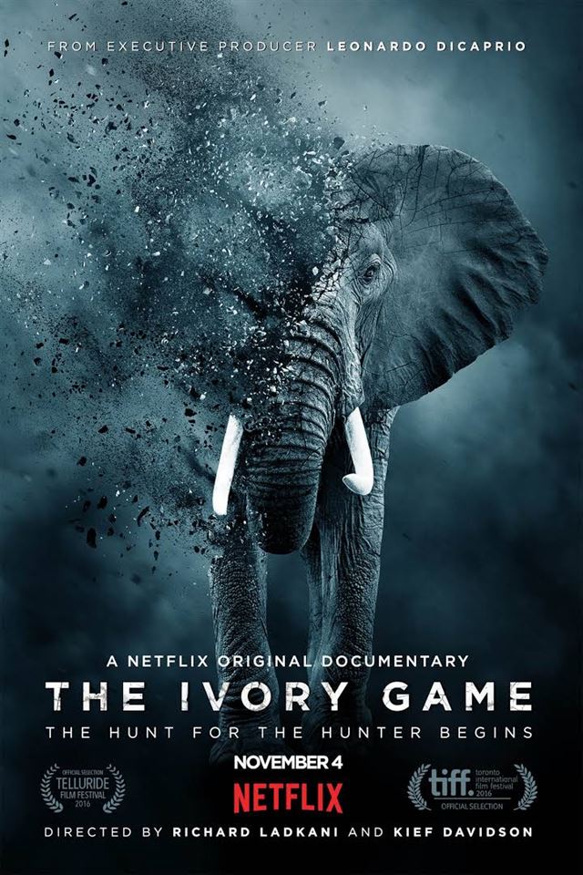 다큐멘터리 'The Ivory Game'에 웨인 로터는 출연을 사양하며 동료 파크 레인저들을 추천했다. 다큐멘터리는 "지금도 코끼리는 매 15분마다 한 마리씩 밀렵당하고 있다"고, "전쟁은 끝나지 않았다"고  밝혔다.