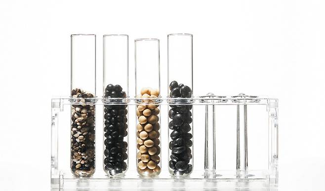 콩은 필수아미노산 8종을 모두 함유하고 있다.