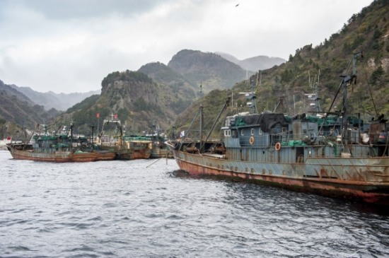 기상악화로 피항한 중국어선들이 울릉도 섬 가까이 정박해 있어 무단 입국에 노출되고 있다.(헤럴드 지료사진)