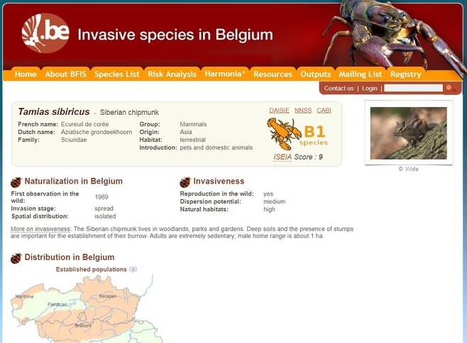 다람쥐를 외래종으로 안내한 벨기에 정부의 누리집. 국토의 상당 부분에 퍼져 있음을 알 수 있다.