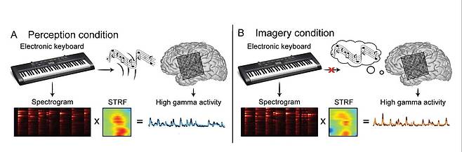 스위스, 독일, 프랑스, 미국 공동연구진은 실제 음이 들리지 않는 상태에서 머릿 속으로만 음악을 상상하고 연주했을 때 뇌에서 어떤 일이 벌어지는지에 대한 연구를 수행했다. 출처 : EPFL