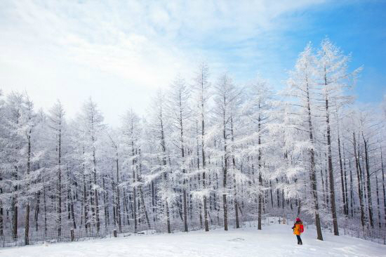 흰눈 내린 겨울산은 고요하고 아름다운 특유의 감성으로 겨울 여행객들의 발길을 이끈다(사진=한국관광공사 제공)